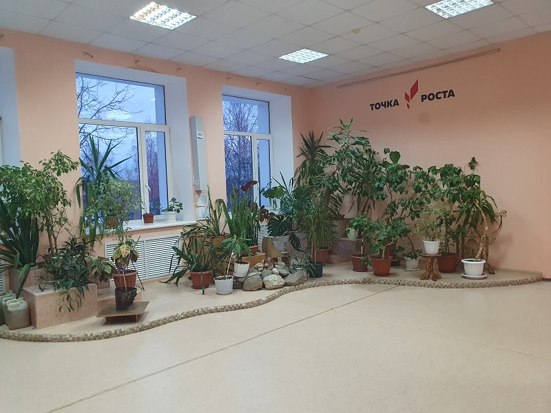 летний сад летний сад